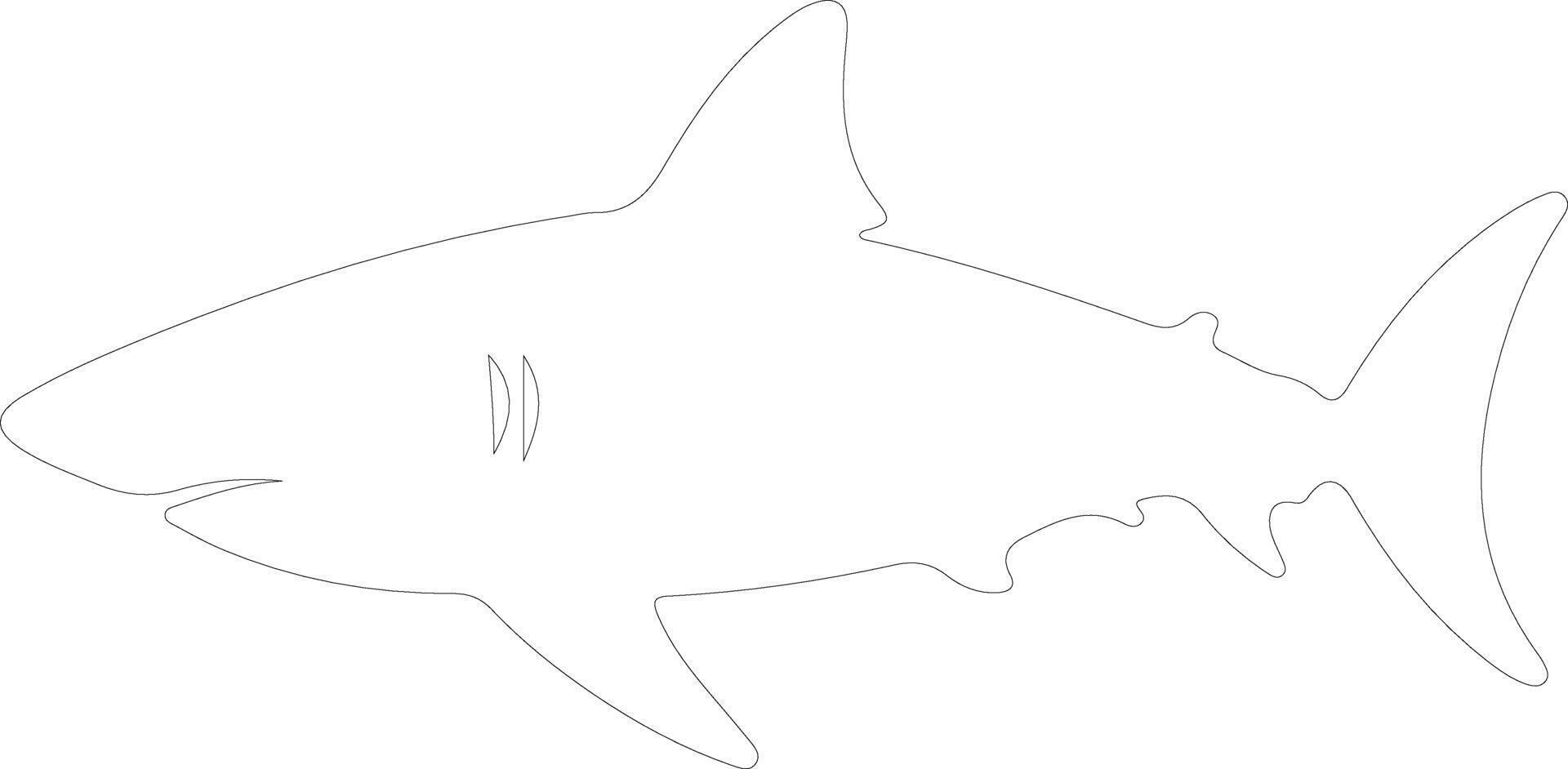bullshark outline silhouette vector