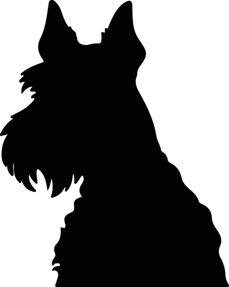 Pumi  silhouette portrait vector