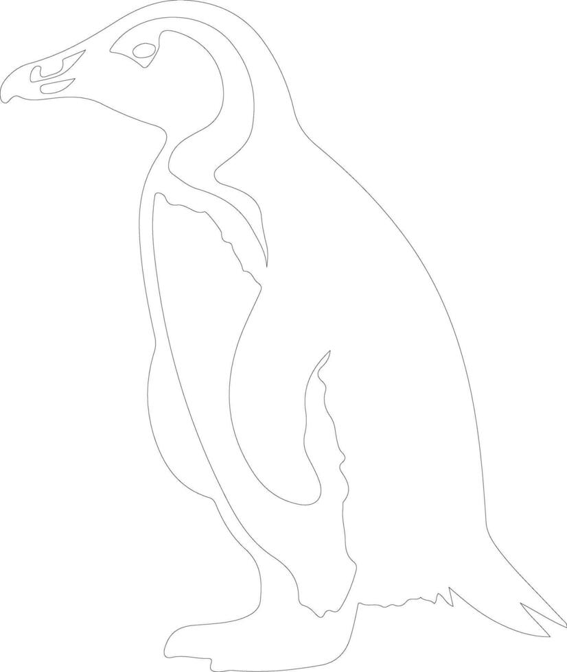 African penguin  outline silhouette vector