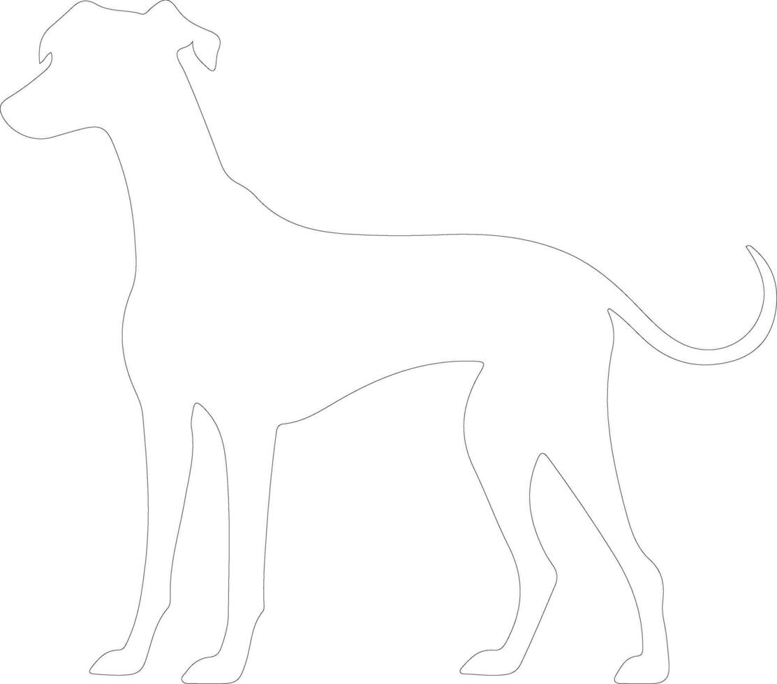 Whippet outline silhouette vector