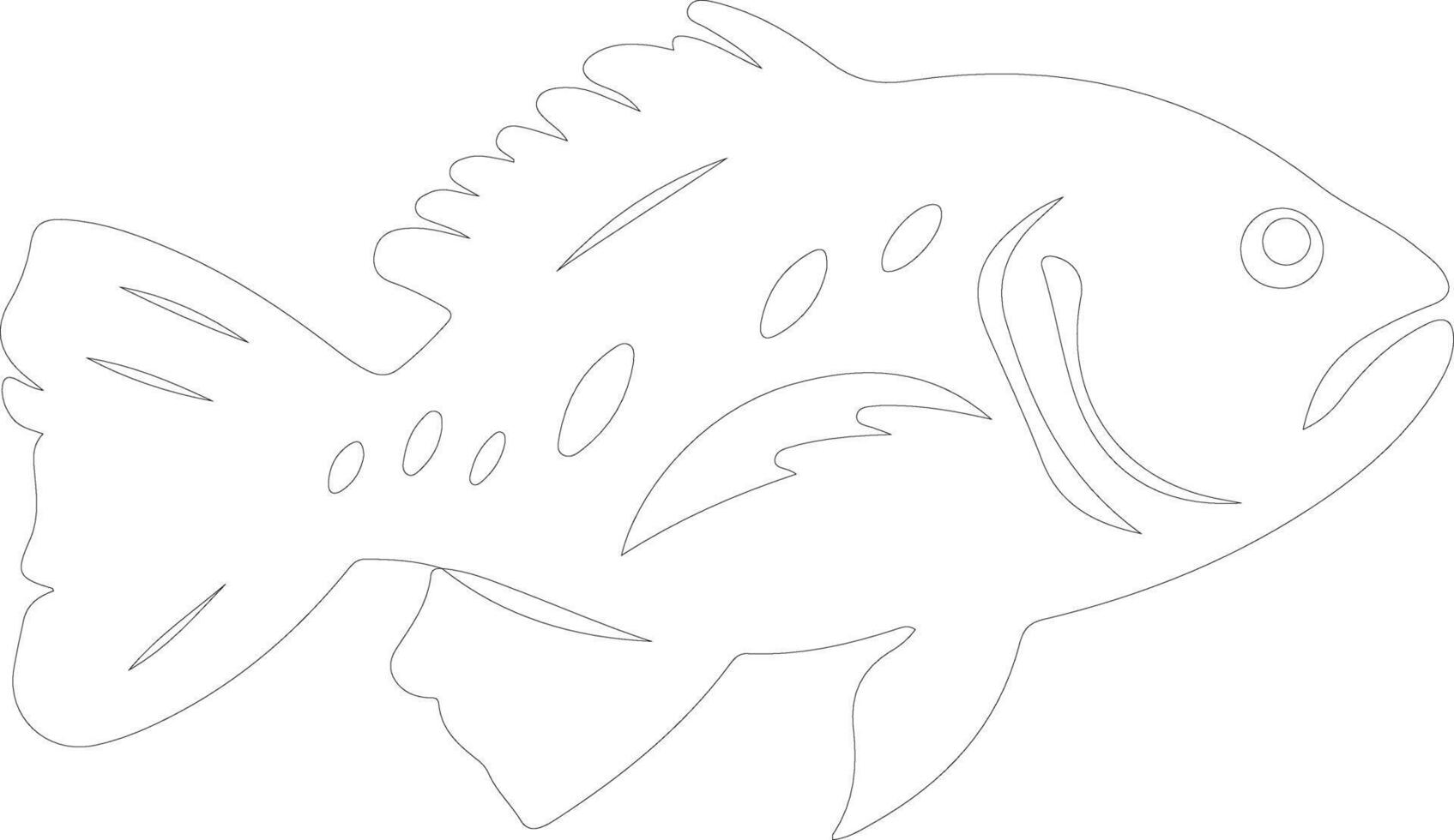 grouper outline silhouette vector