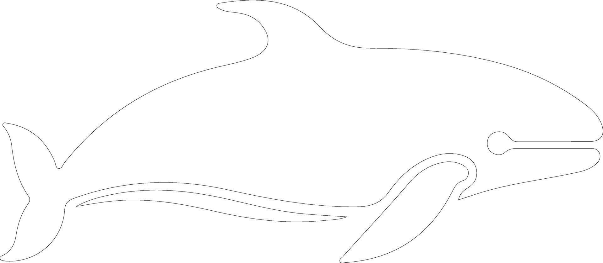 bowheadwhale outline silhouette vector