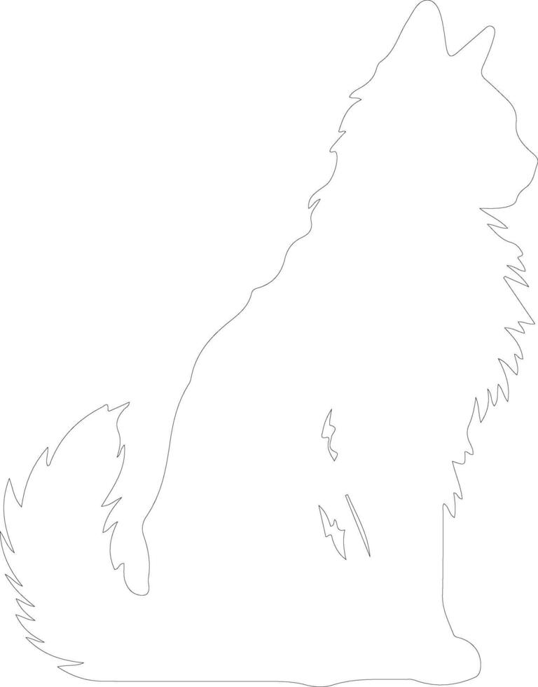 Maine Coon Cat  outline silhouette vector
