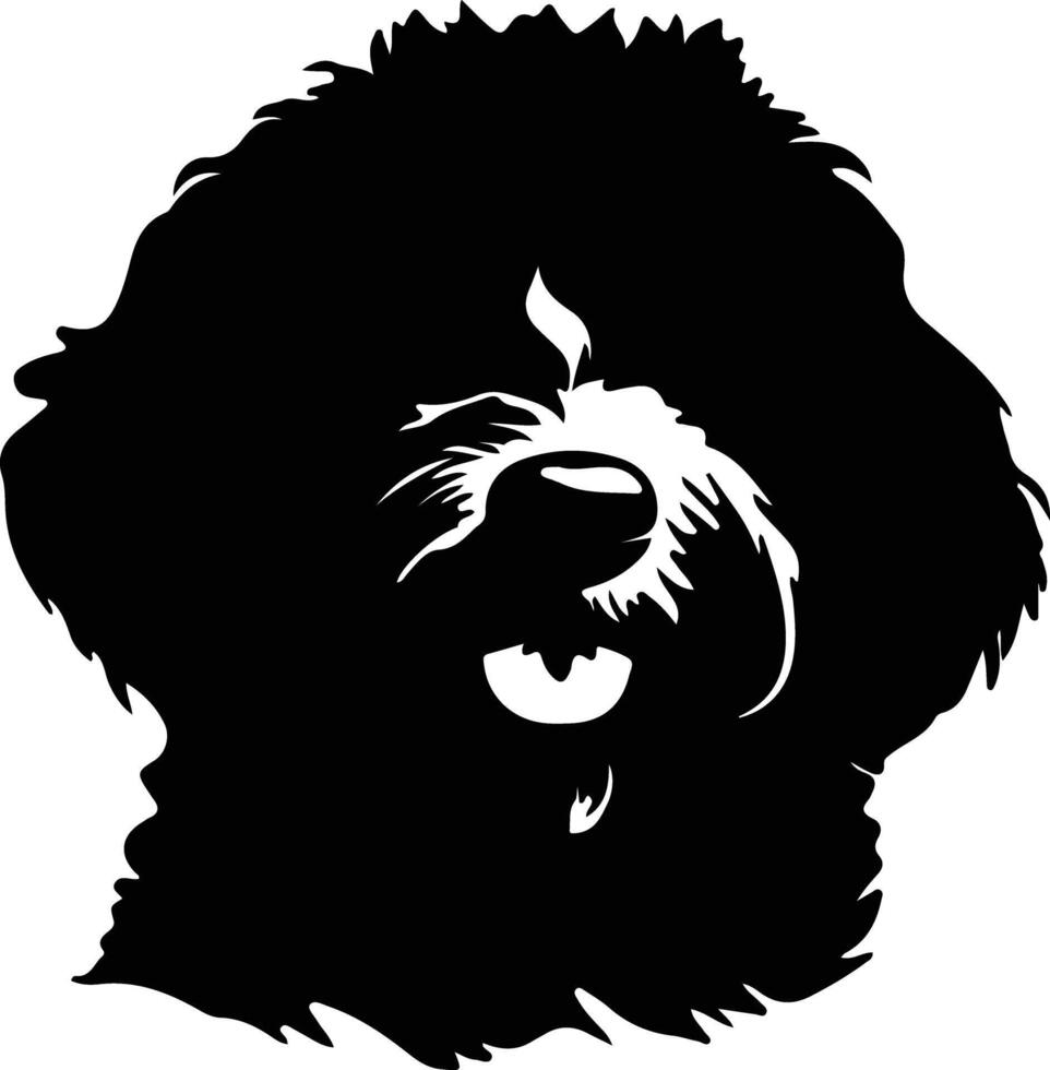 Spanish Water Dog  silhouette portrait vector