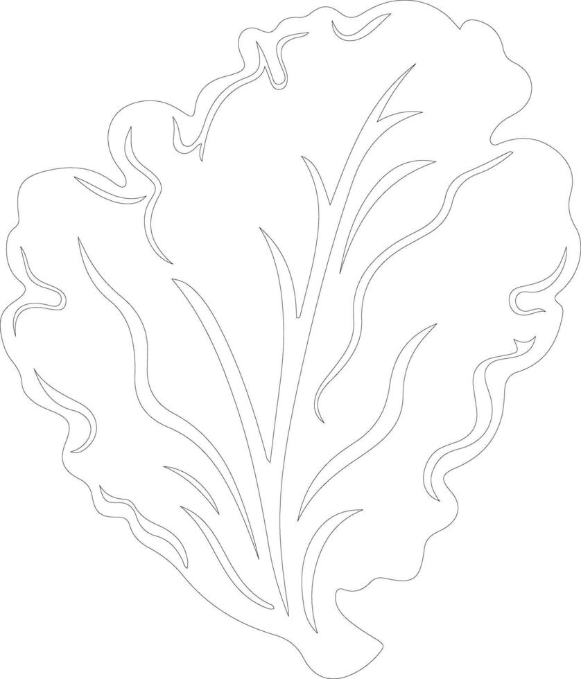 lettuce  outline silhouette vector
