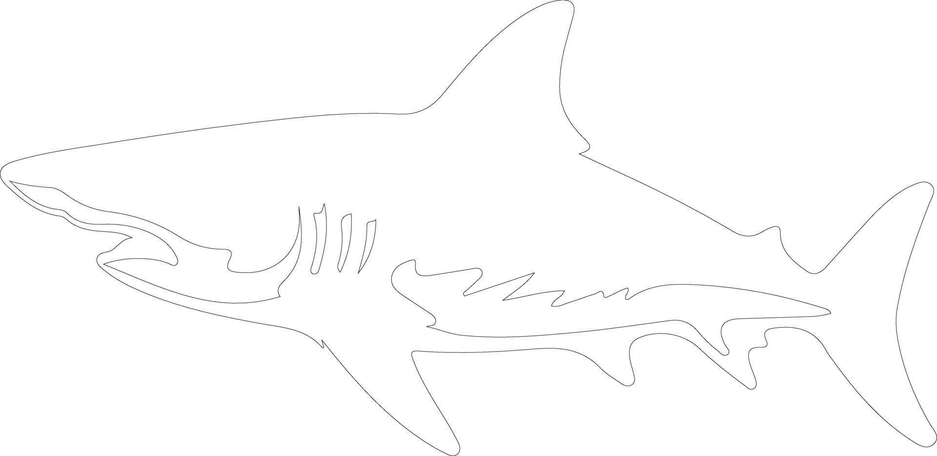 lemon shark  outline silhouette vector