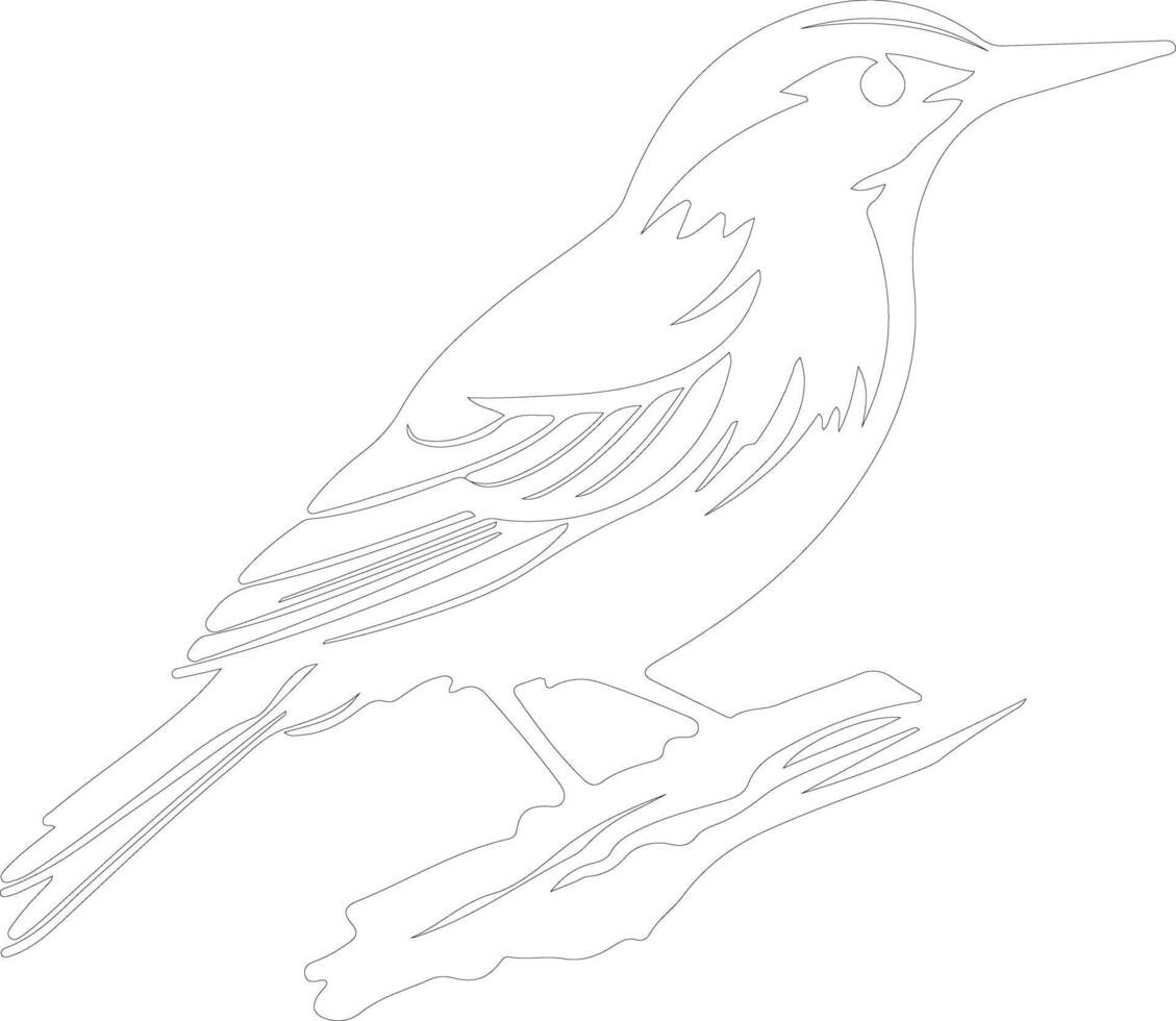 white-breasted nuthatch  outline silhouette vector