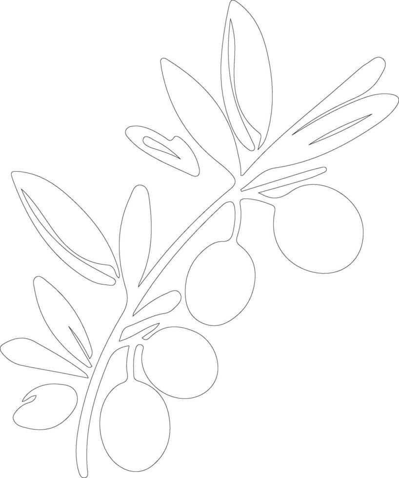 aceituna contorno silueta vector