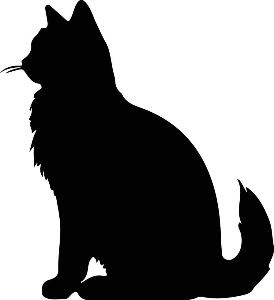 Somali Cat  black silhouette vector