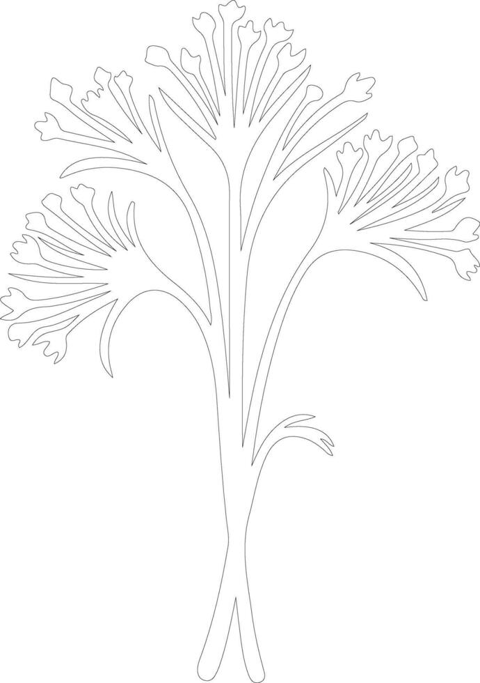 fennel  outline silhouette vector