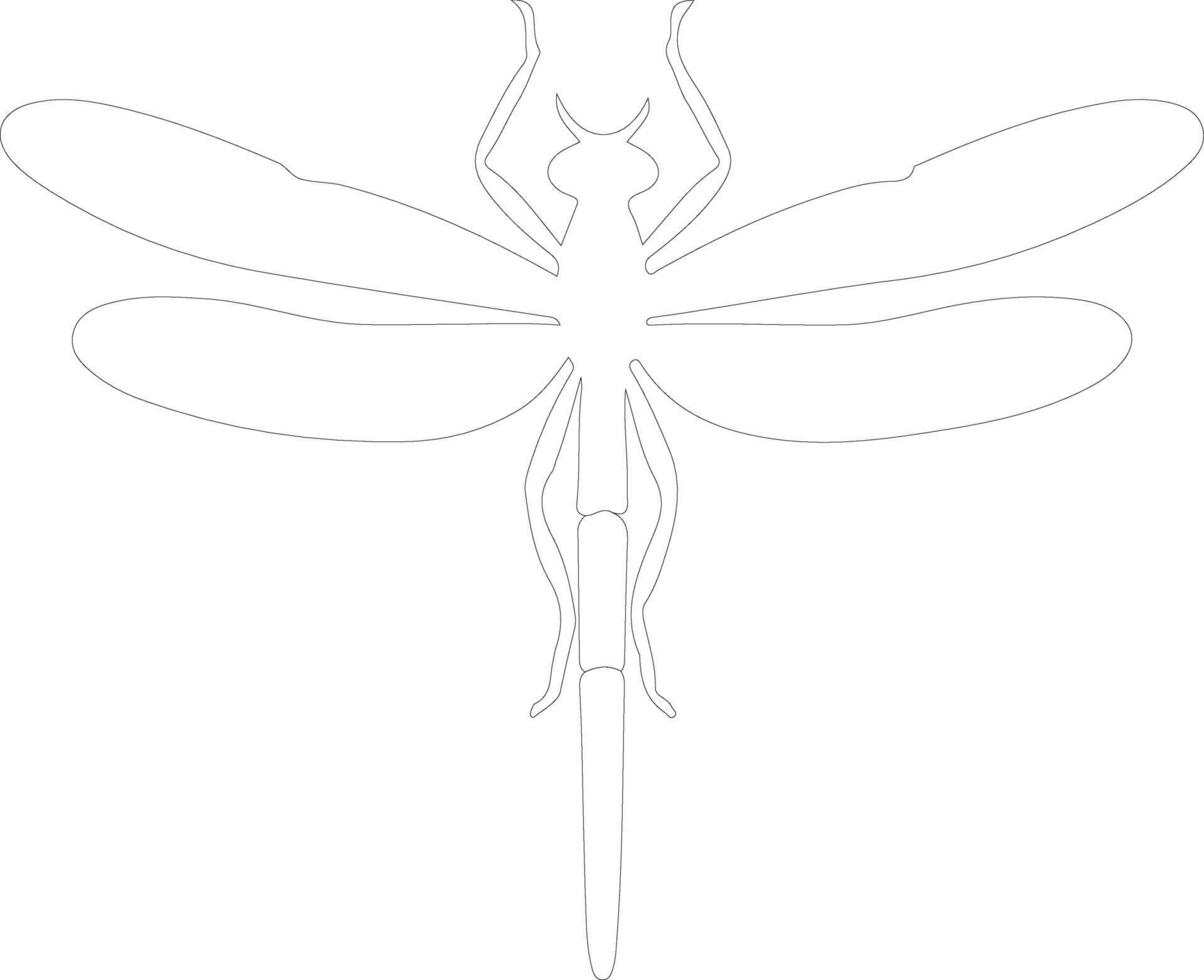 green darner dragonfly  outline silhouette vector