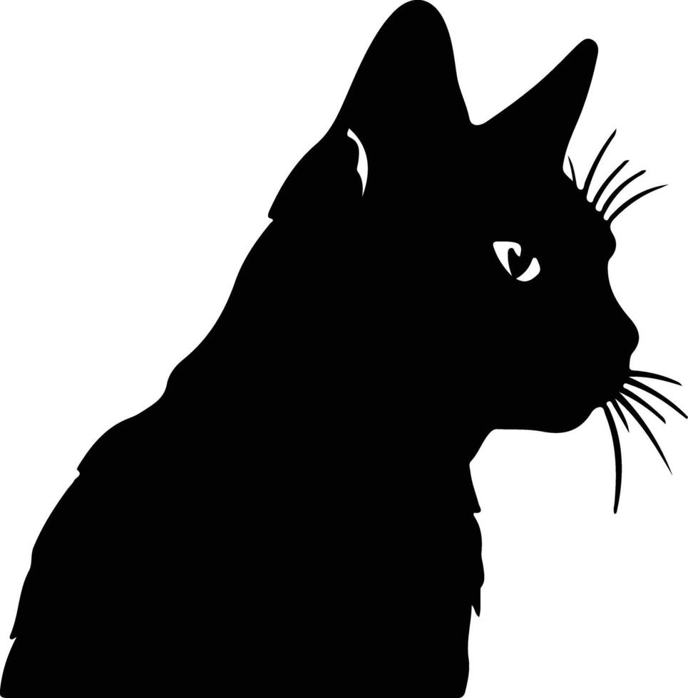 German Rex Cat  silhouette portrait vector