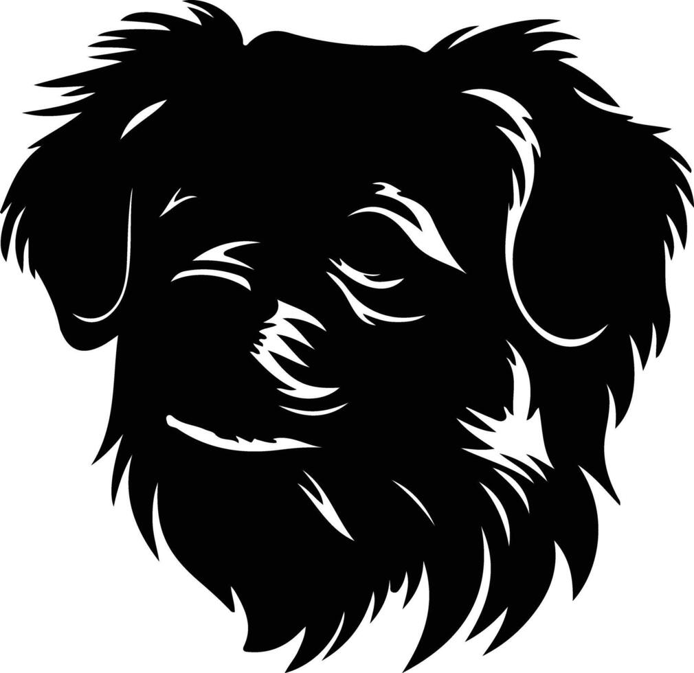 tibetano spaniel silueta retrato vector