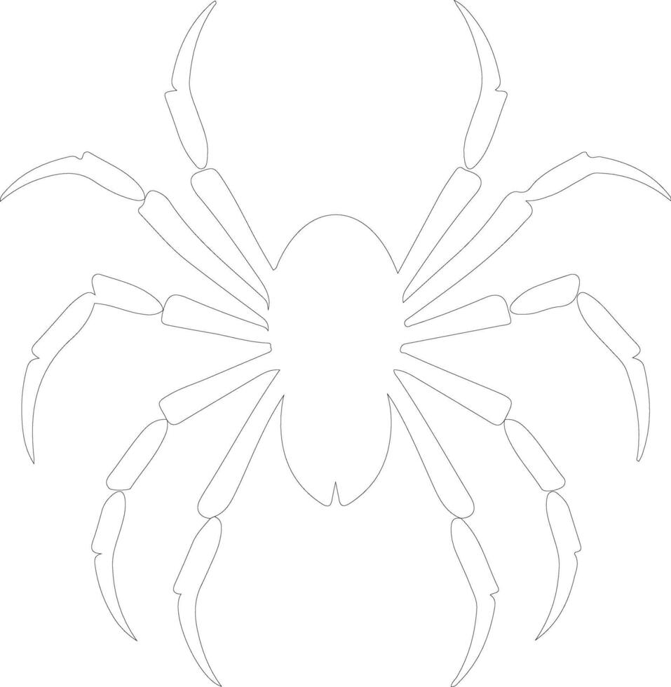 arachnid  outline silhouette vector