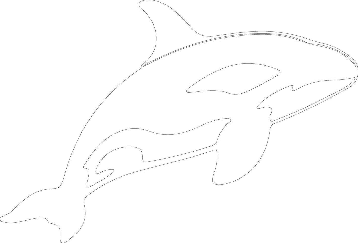 orca  outline silhouette vector