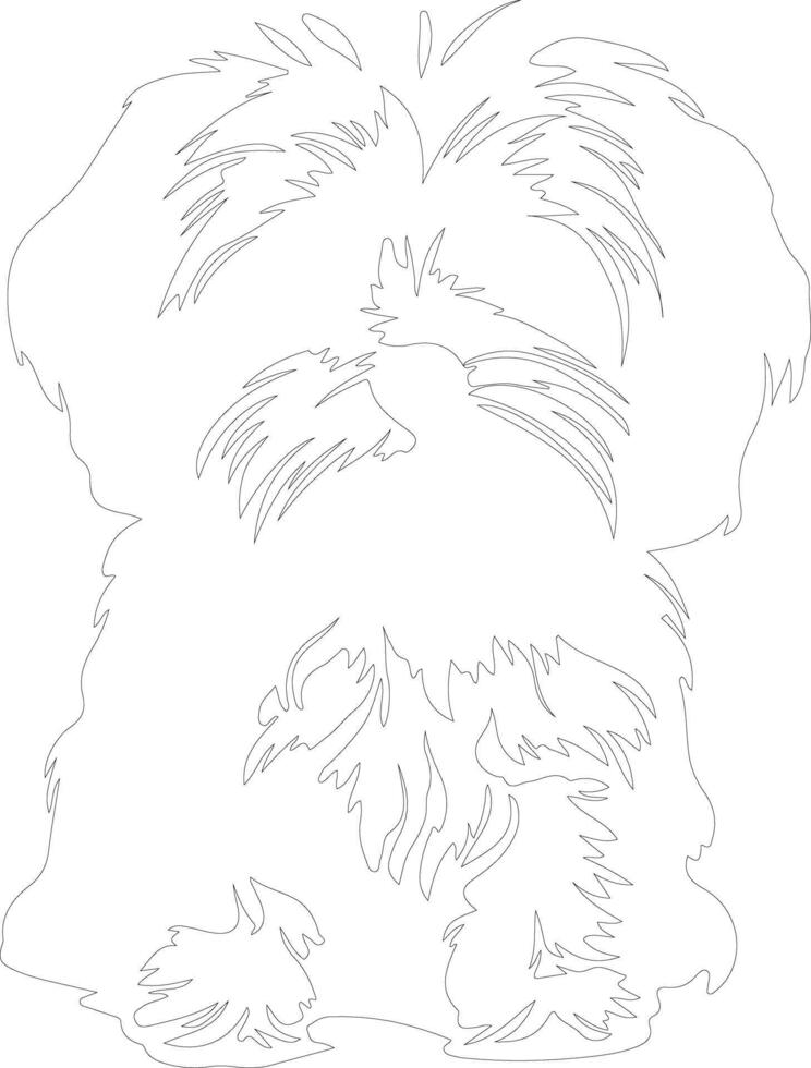 Maltese  outline silhouette vector