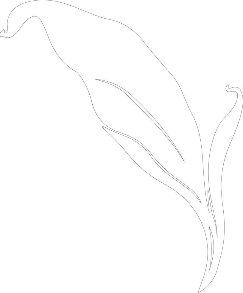 plantain  outline silhouette vector