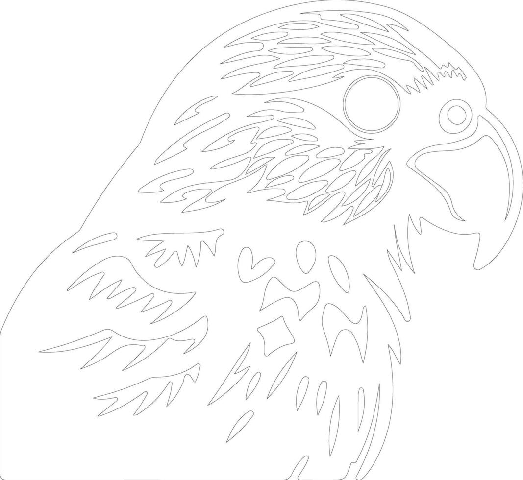 kakapo outline silhouette vector