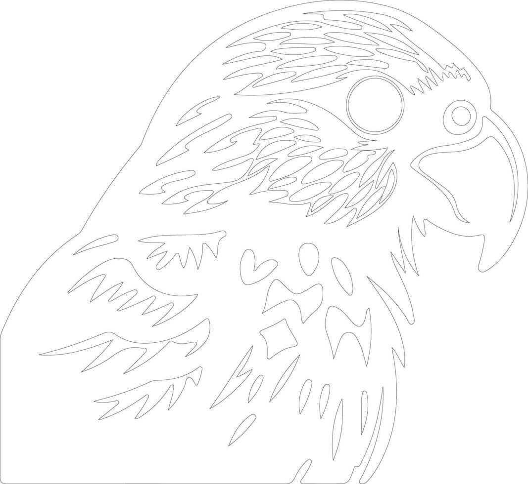 kakapo outline silhouette vector