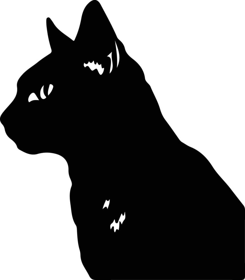 California Spangled Cat  silhouette portrait vector
