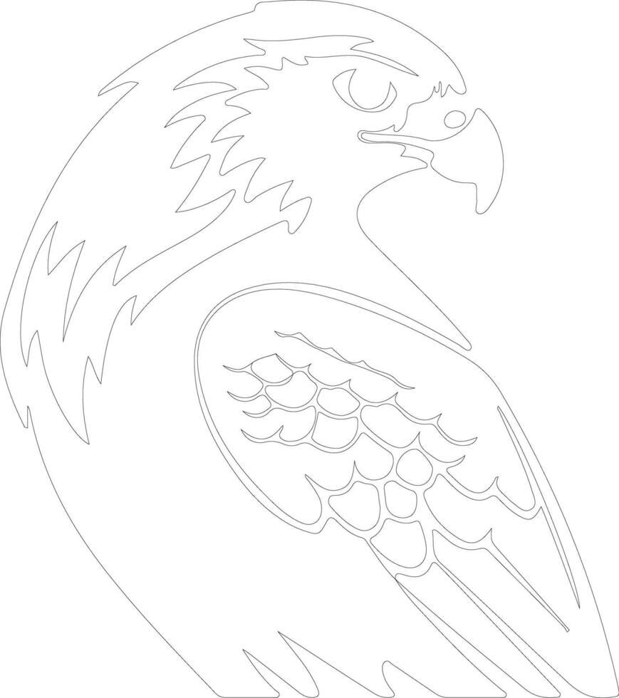 hawk  outline silhouette vector