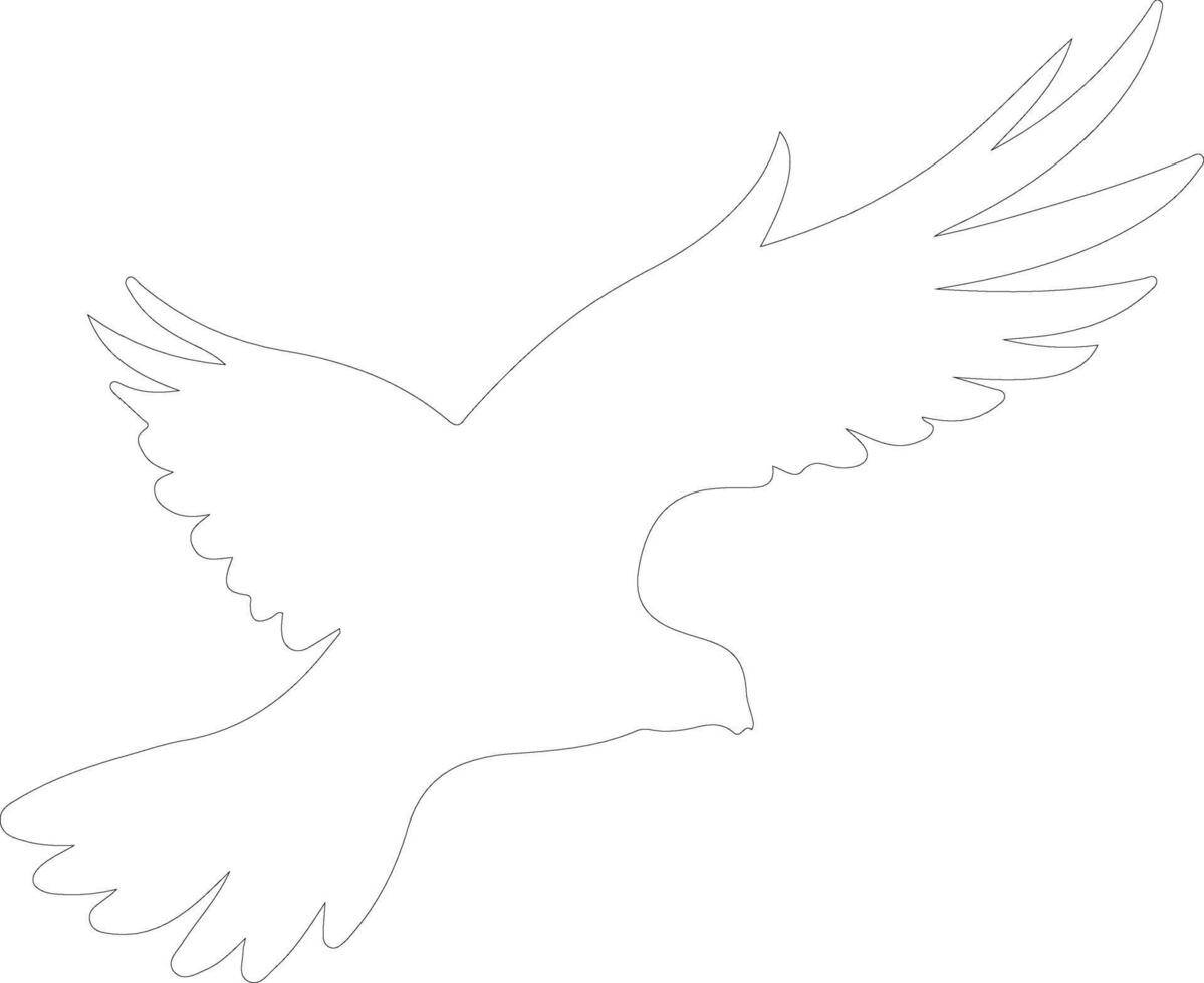 dove    outline silhouette vector