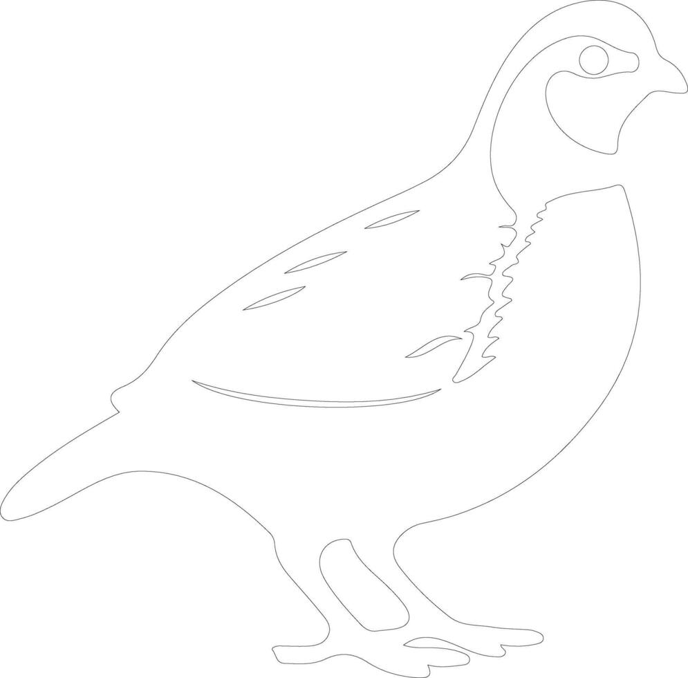 quail    outline silhouette vector