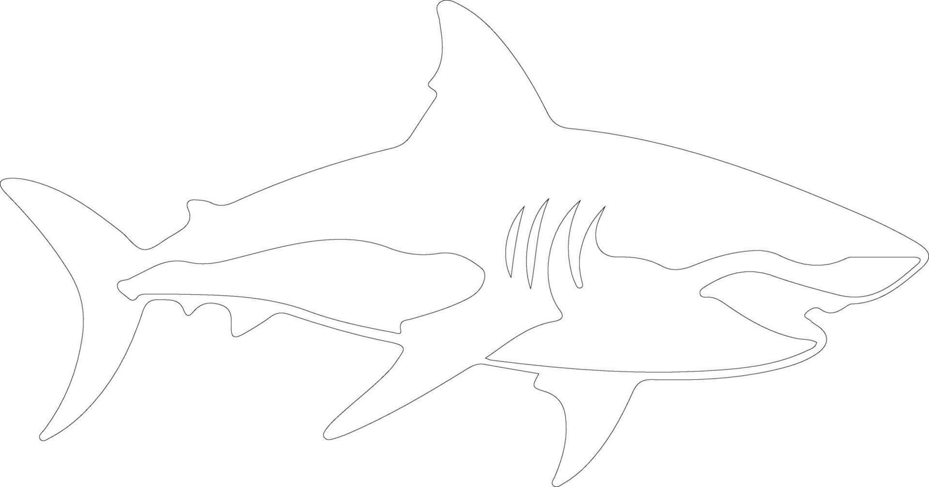 shark-outline-silhouette-38489689-vector-art-at-vecteezy