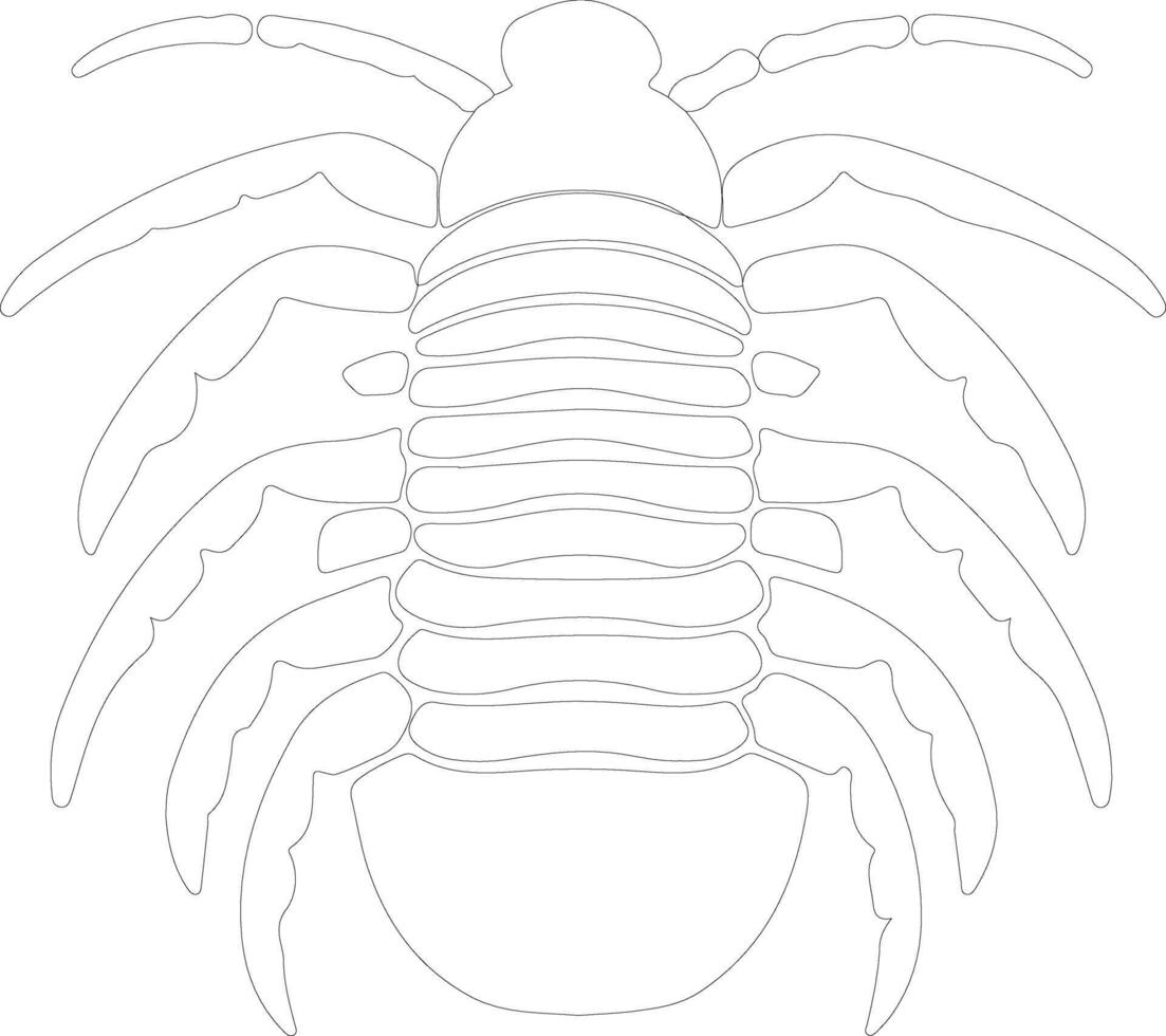 Trilobite outline silhouette vector