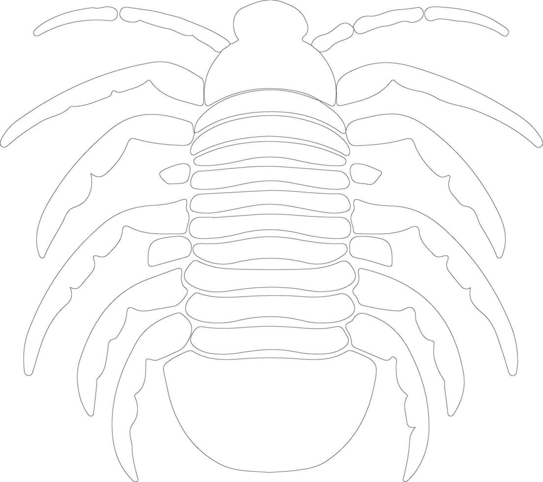 trilobite contorno silueta vector