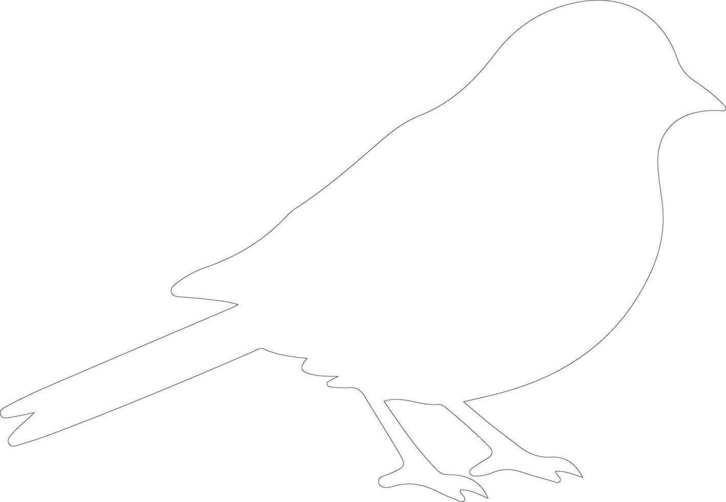 junco  outline silhouette vector