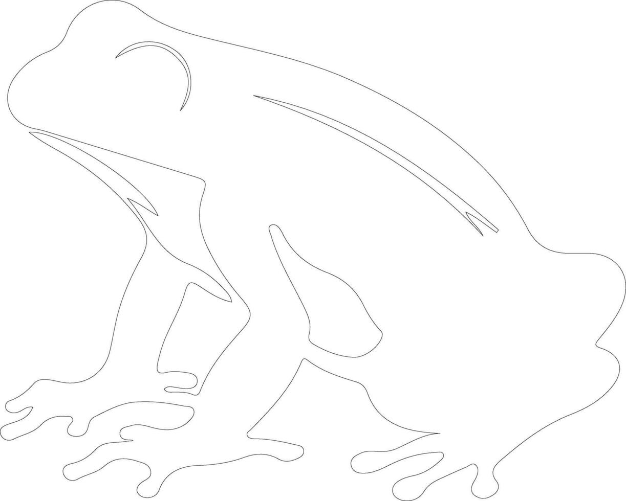 frog    outline silhouette vector