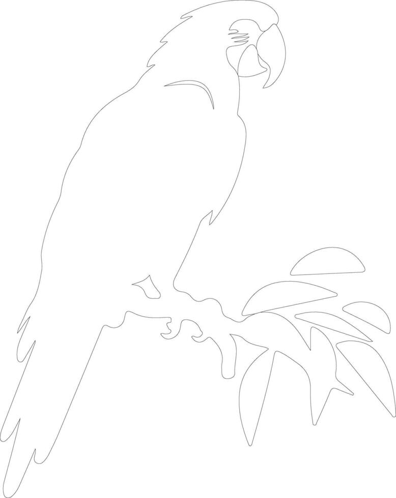 macaw  outline silhouette vector
