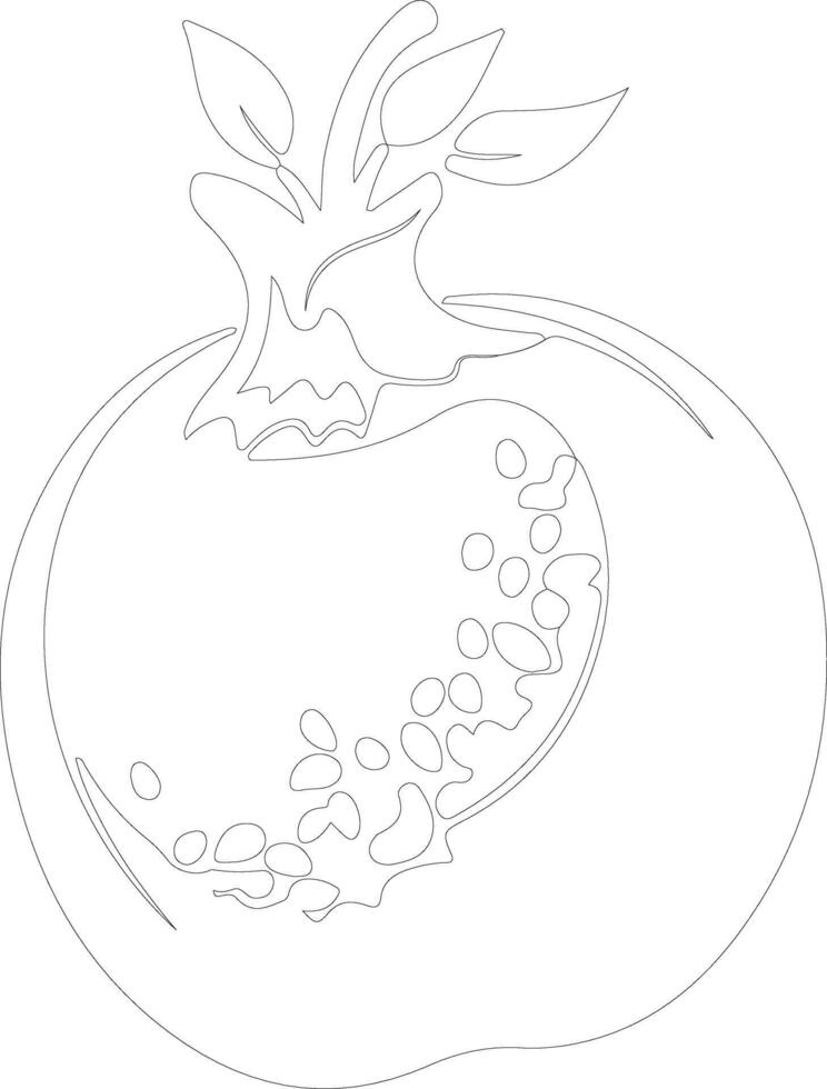 pomegranate  outline silhouette vector