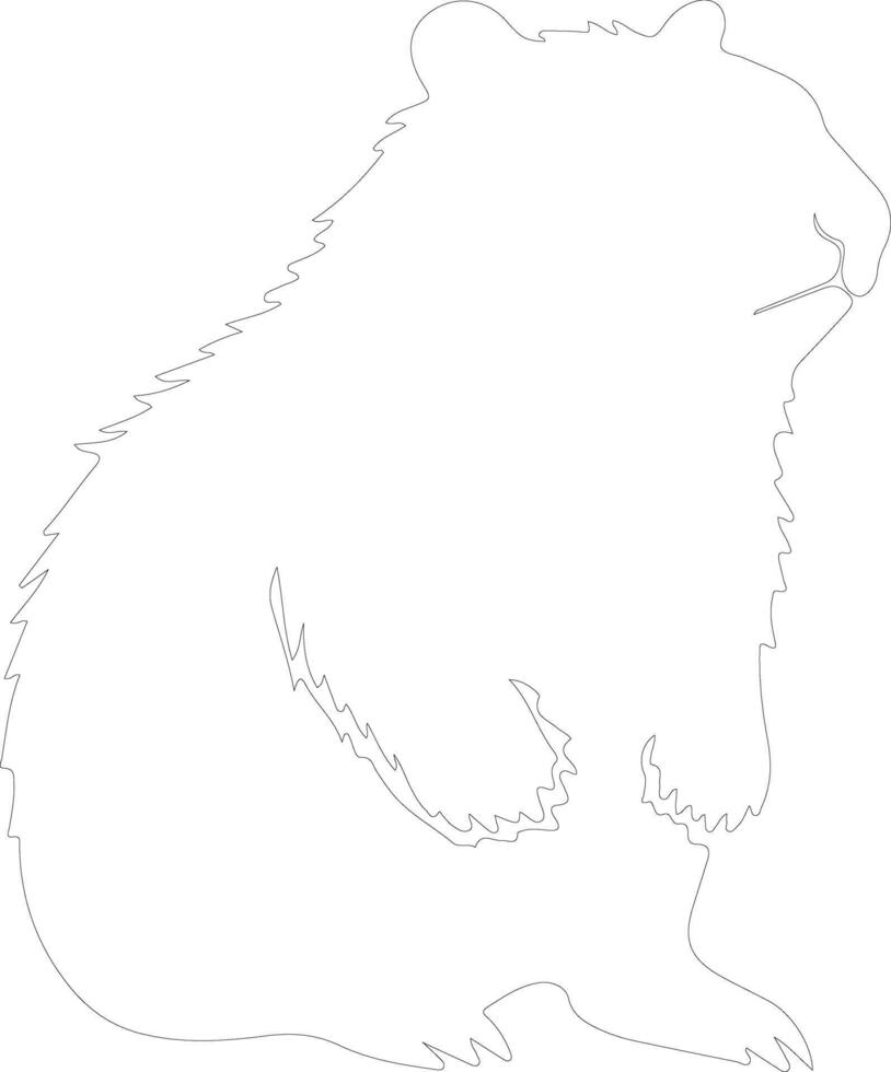 wombat  outline silhouette vector
