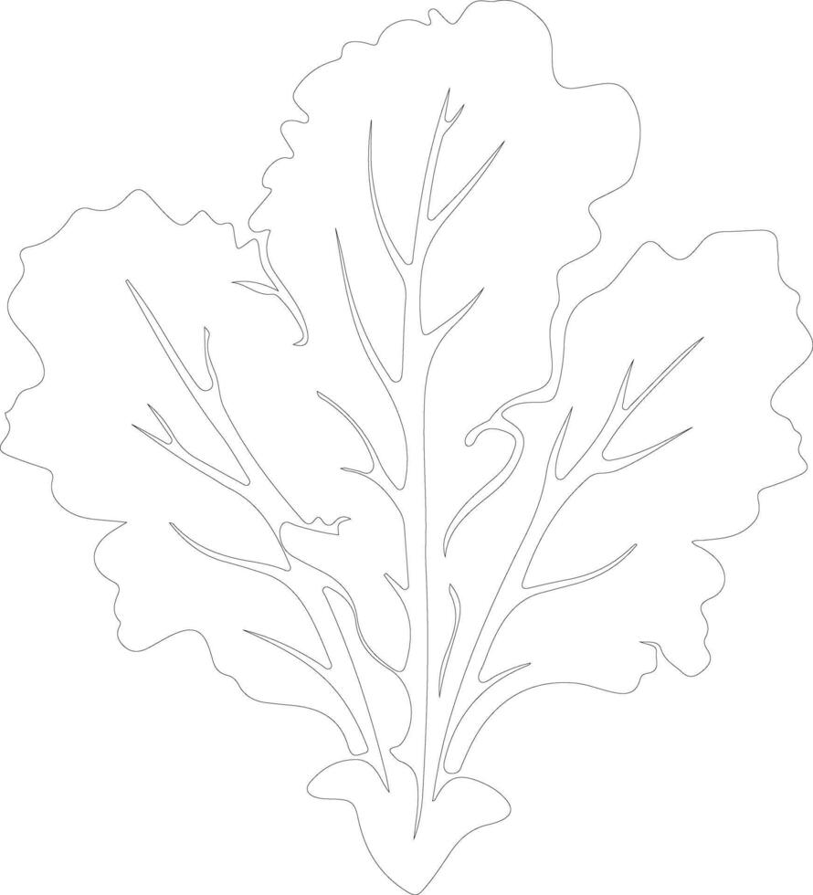 collard greens  outline silhouette vector