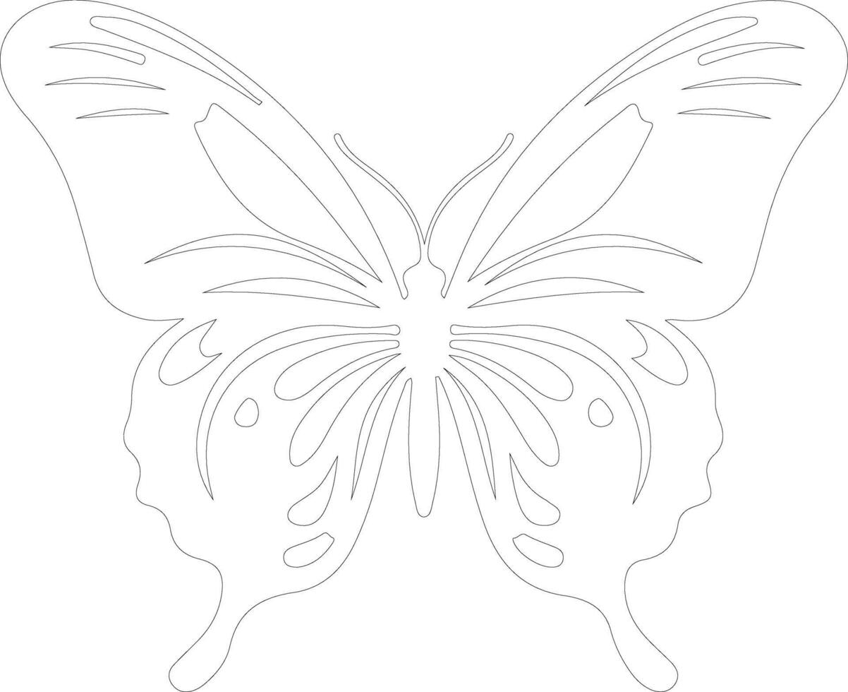 zebra longwing butterfly  outline silhouette vector