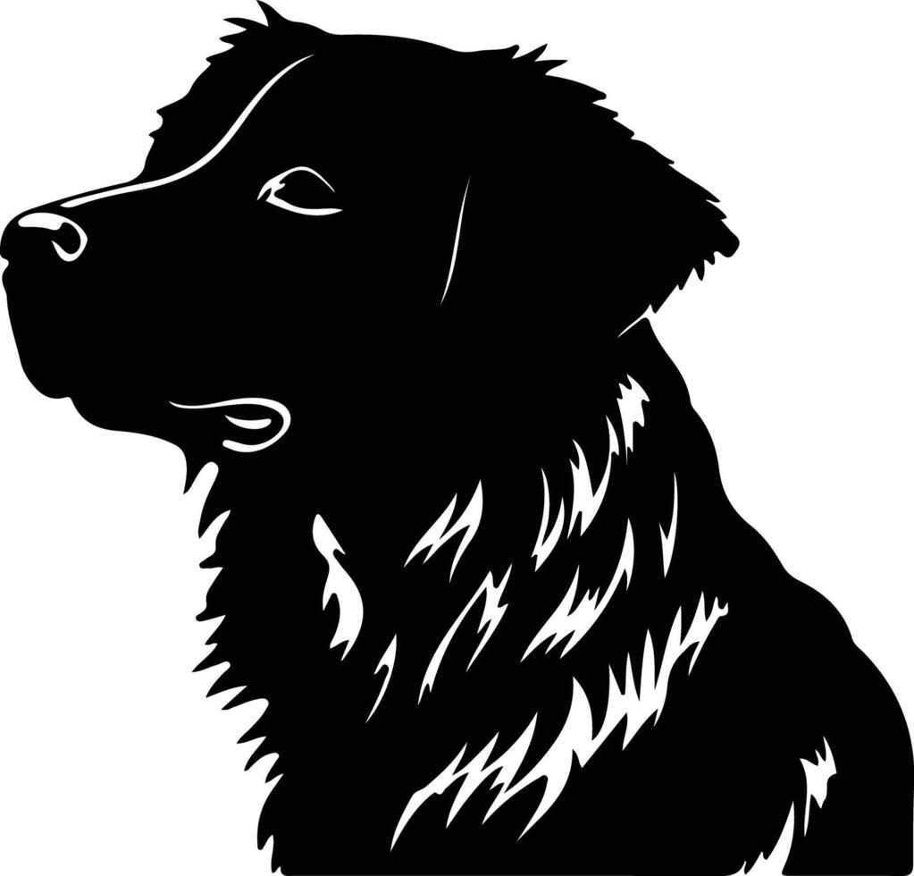 Nova Scotia Duck Tolling Retriever   black silhouette vector