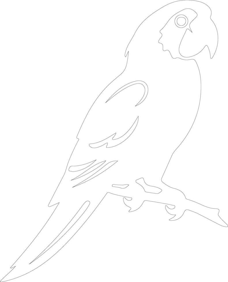 parrot  outline silhouette vector