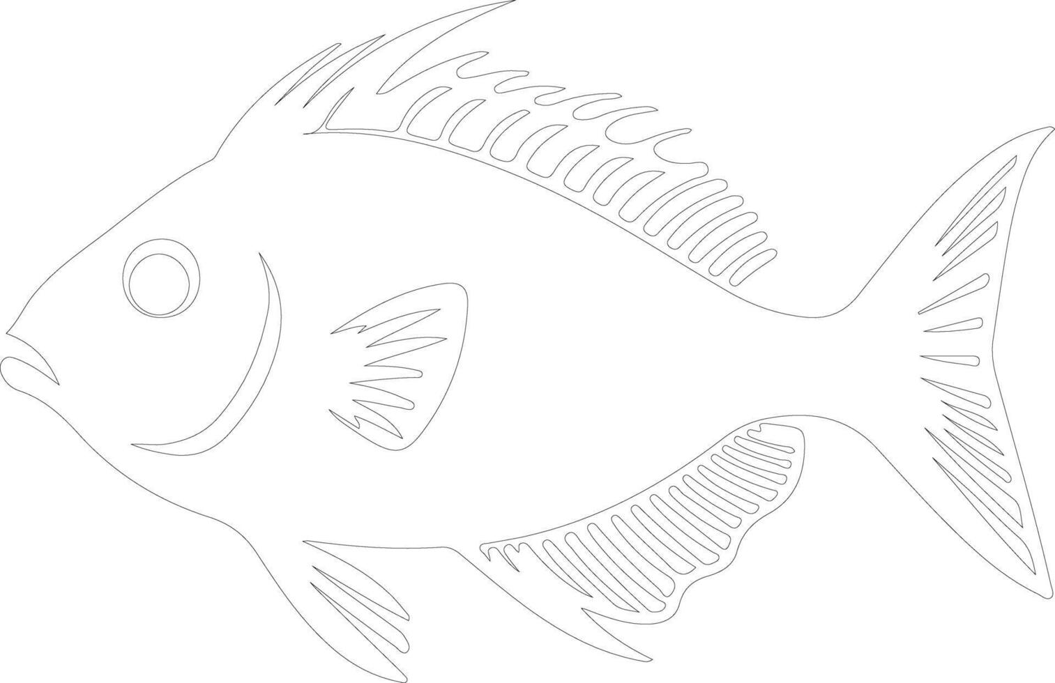 John Dory  outline silhouette vector