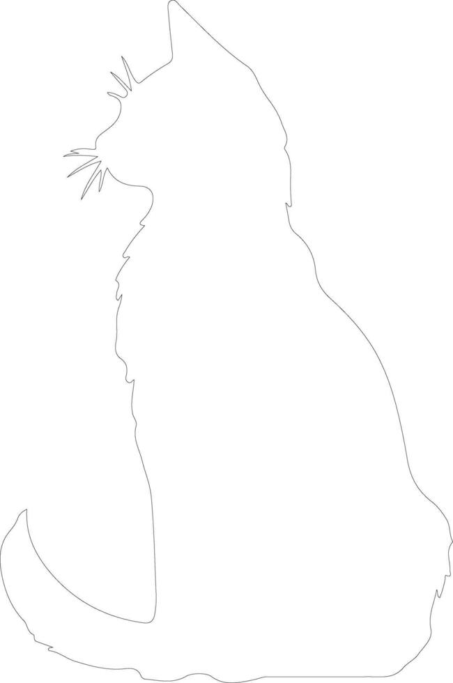 Somali Cat outline silhouette vector