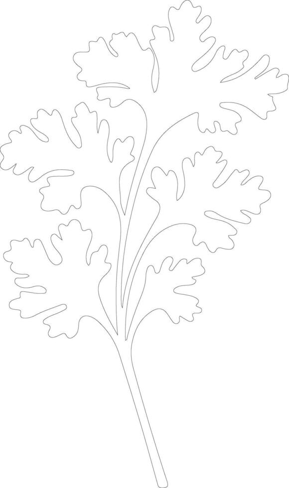 celery  outline silhouette vector