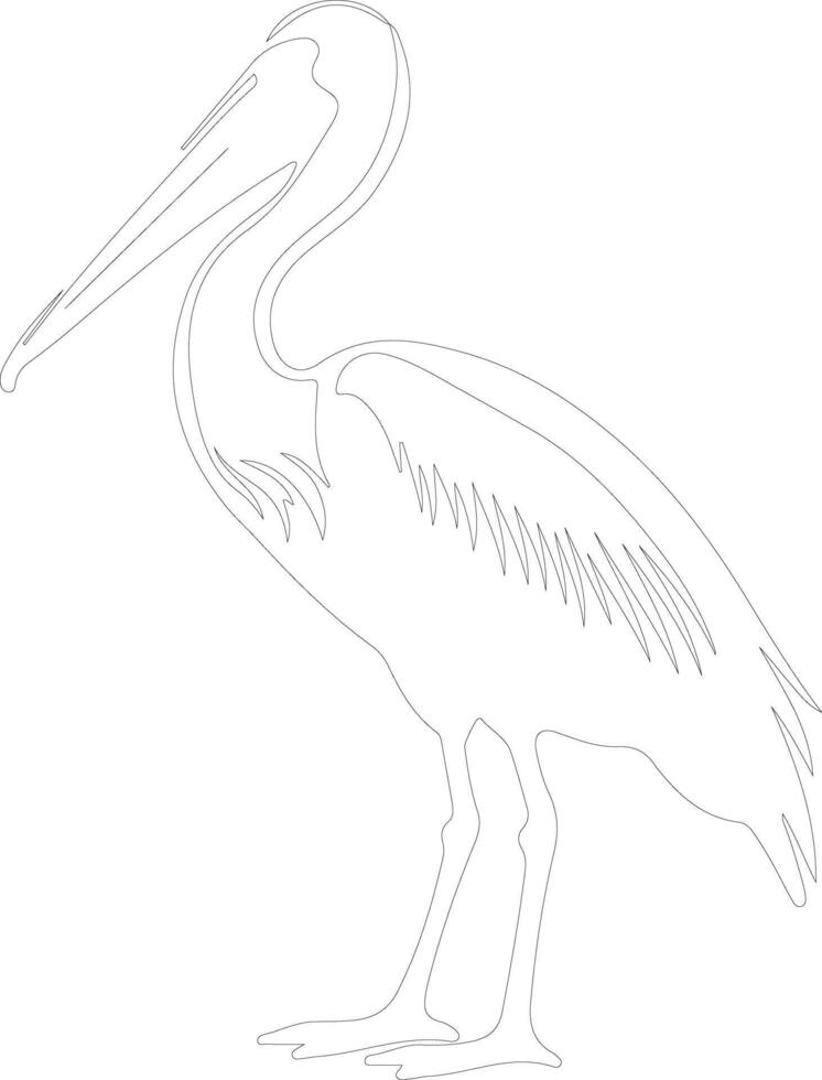white pelican  outline silhouette vector