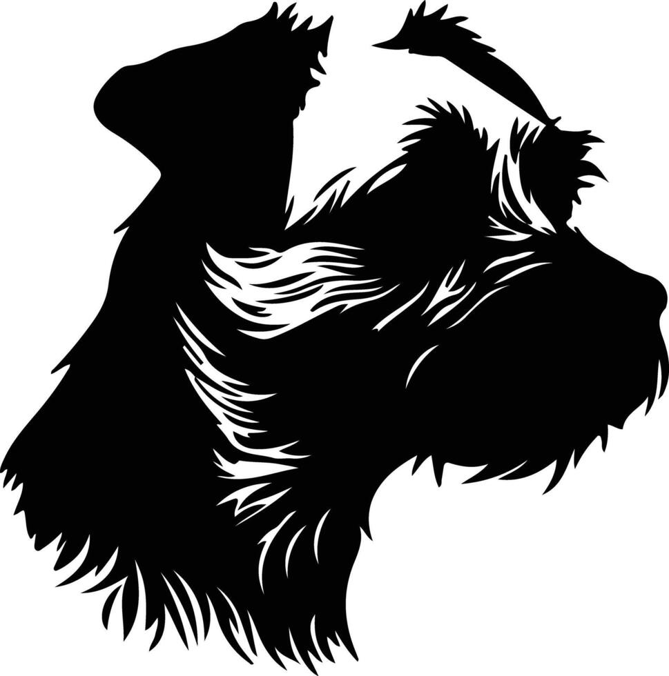 Border Terrier  silhouette portrait vector