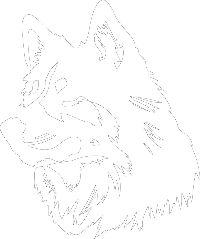 Alaskan Malamute  outline silhouette vector