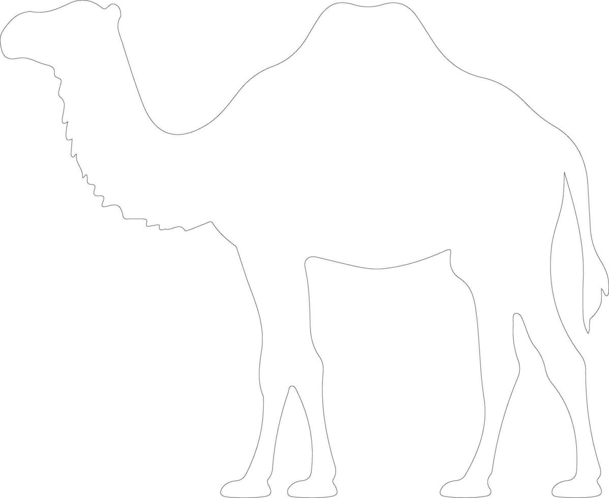 bactrian camel  outline silhouette vector