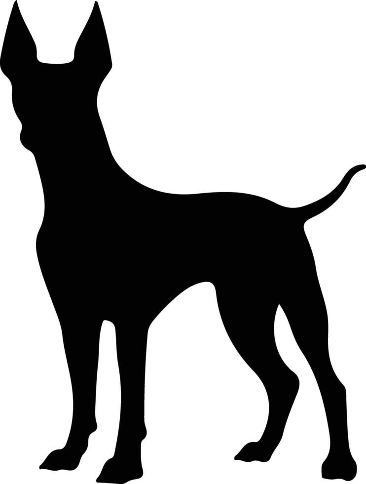 Xoloitzcuintli Mexican Hairless Dog    black silhouette vector