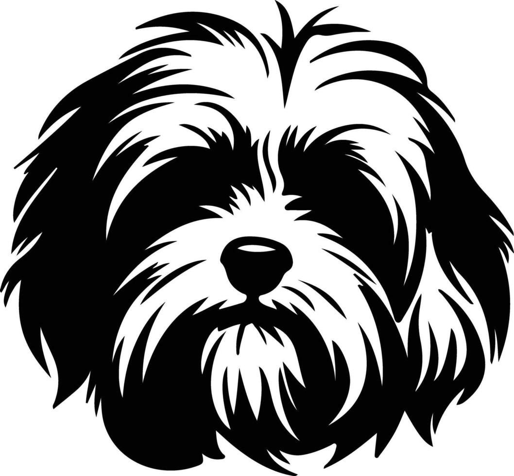 Maltese  silhouette portrait vector