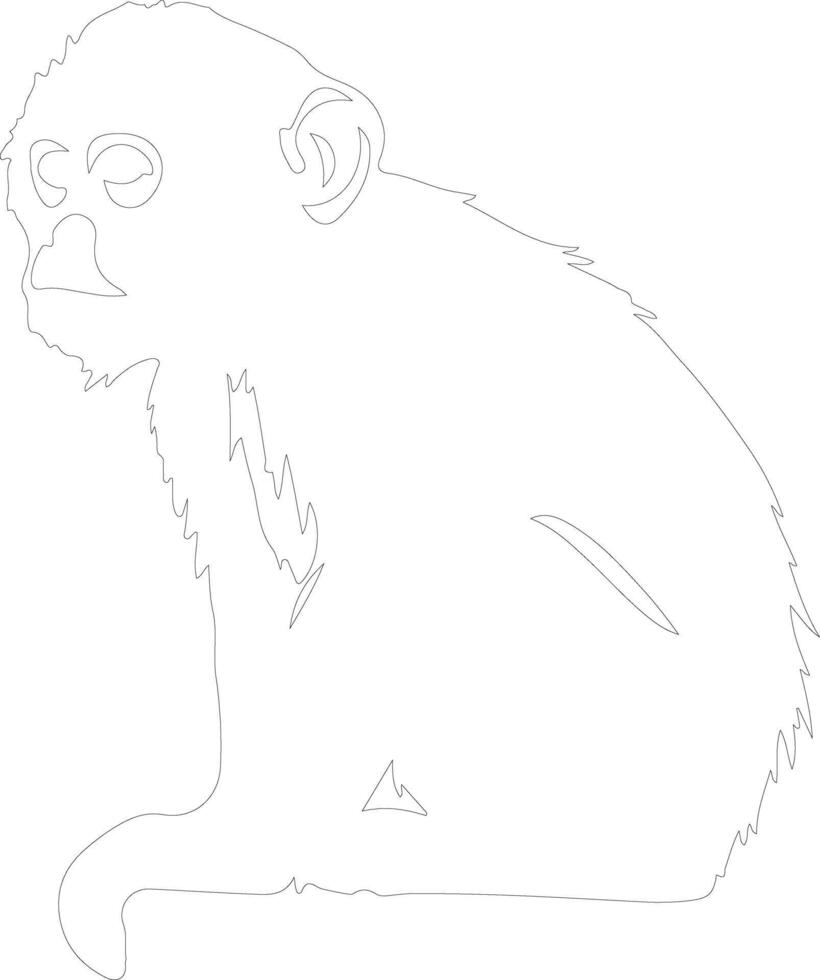 monkey  outline silhouette vector