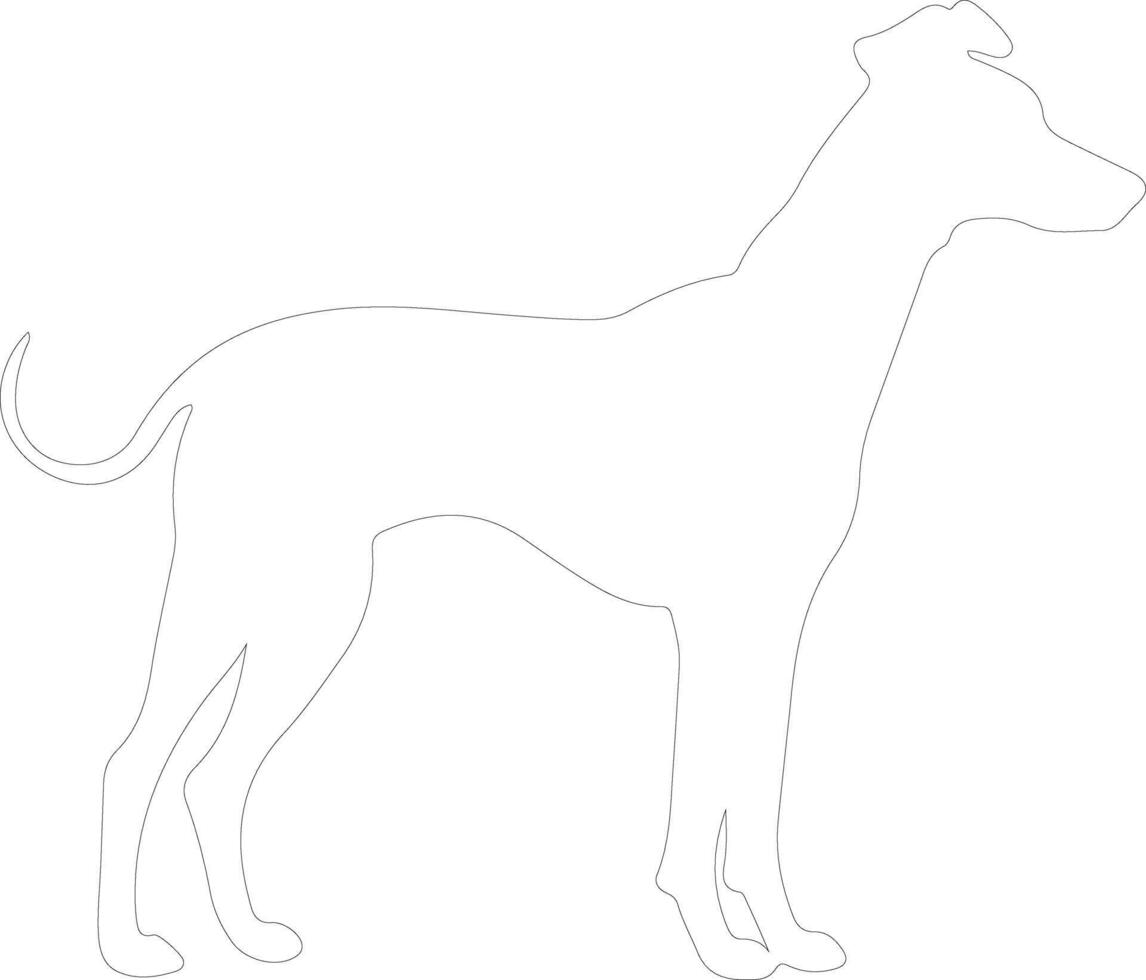 Whippet outline silhouette vector